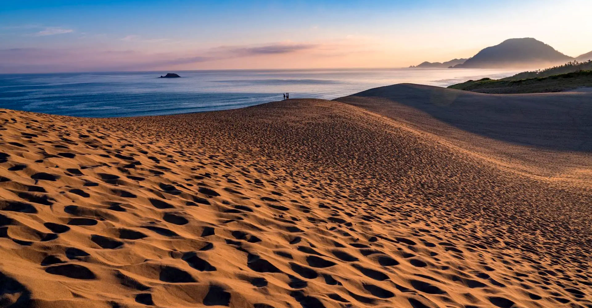 千代興行有限会社 会社概要